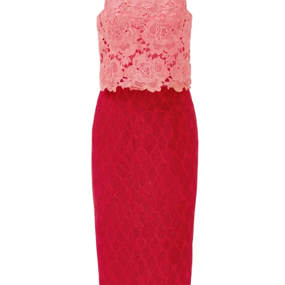 Monique Lhuillier lace dress